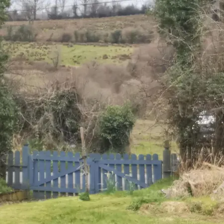 Huath * Carrick on Shannon